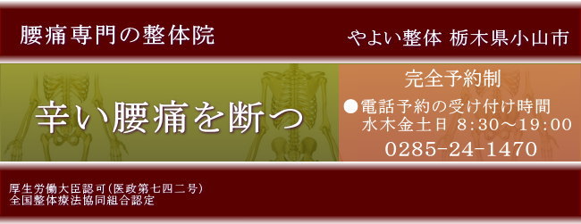 小山市の腰痛専門やよい整体