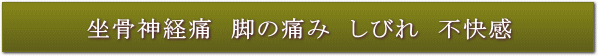 坐骨神経痛 脚のしびれ痛み 不快感